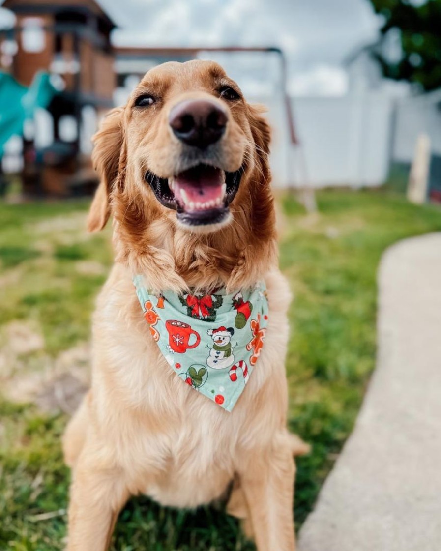 Clothing Darling Dream Co. Family Christmas Pajamas | Holly Jolly Pet Bandana